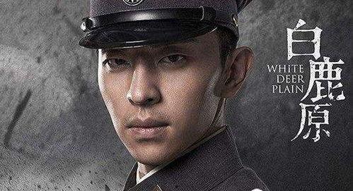 阿飞爆料林先生视频大全,林先生视频大全背后的惊人真相